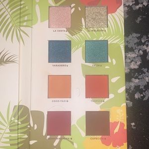 Alamar cosmetics 
Reina Del Caribe Eyeshadow Palette